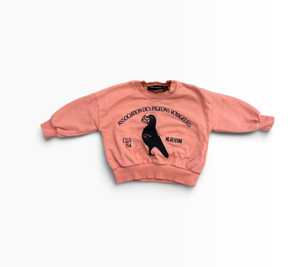 Mini Rodini Sweatshirt Association Des Pigeons Voyageurs 9-18Months Pink